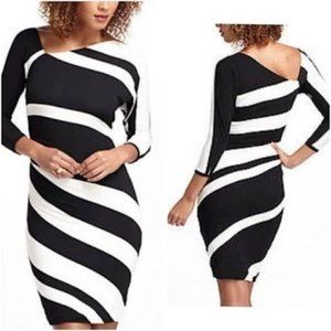 Anthropologie Bordeaux Black and Cream Dress